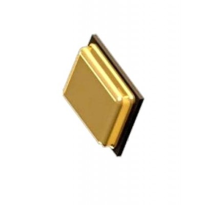 Microphone for Samsung Galaxy S10 Lite